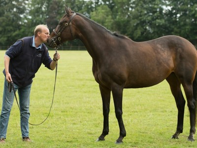 Champion 21YO Ouija Board Passes Away Image 1